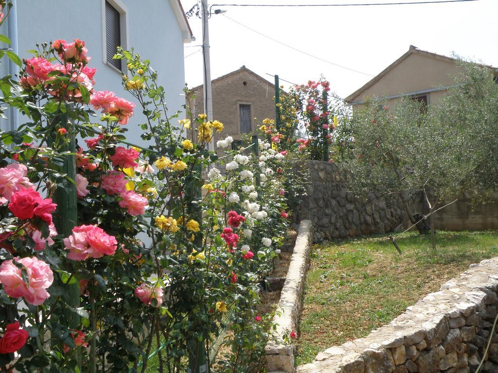 Villa Roze Čižići Exteriör bild